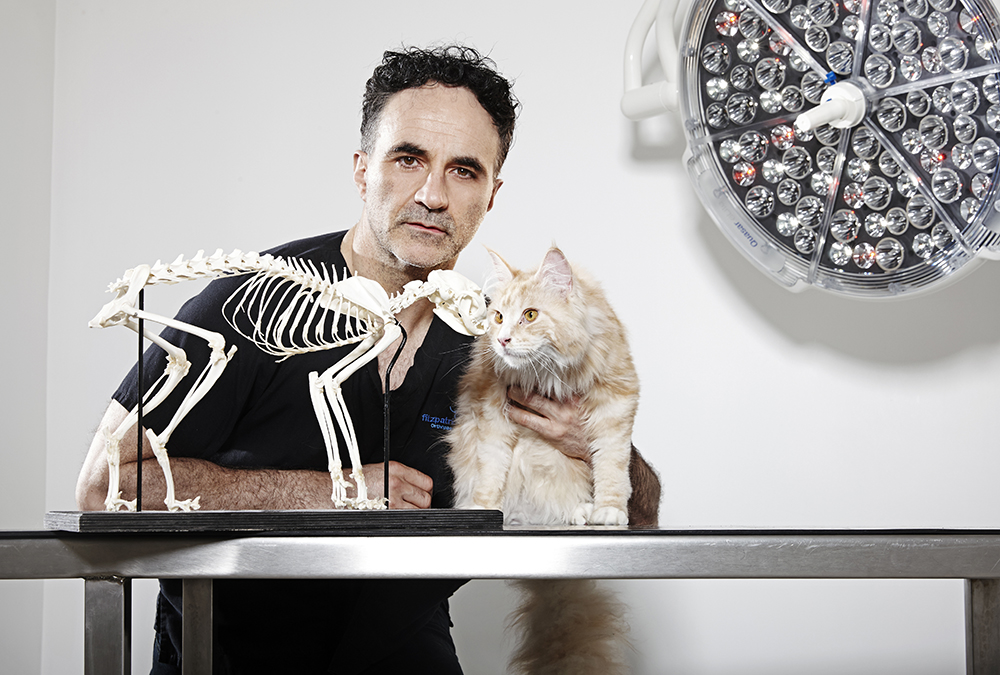 Noel Fitzpatrick Blog